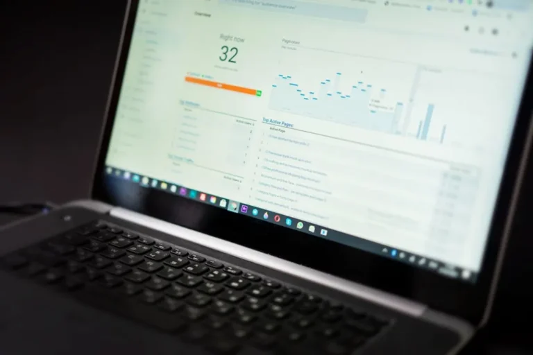 SEO Keyword Rank Tracker: Daily Rankings for Campaigns